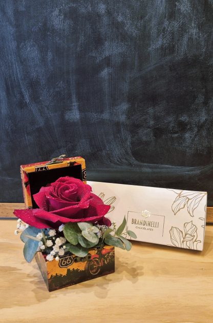 Set Red Rose