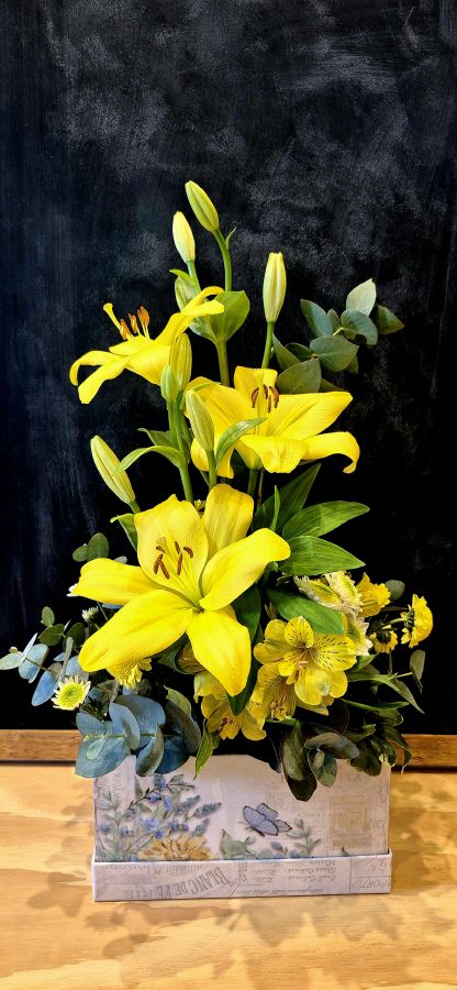 Yellow Box