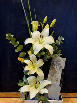 Set Lilium - Rizoma
