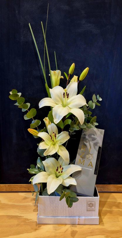 Set Lilium - Rizoma