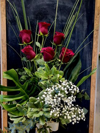Arreglo con 6 Rosas