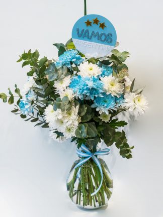 La celeste y blanca