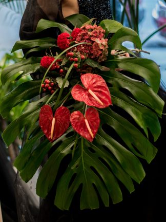 Dark Monstera y anthurium