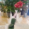 Orquídea - Image 2