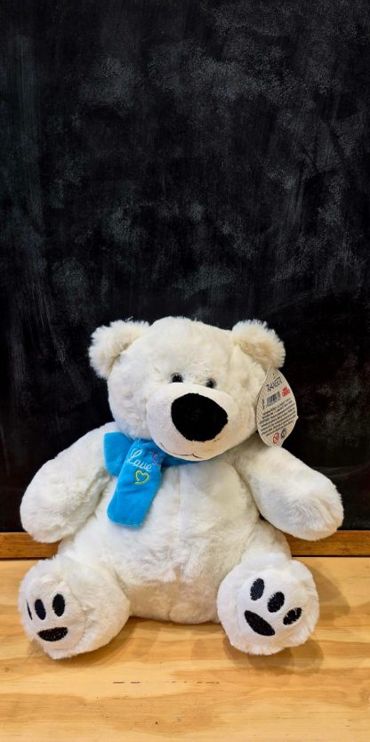 Oso Polar